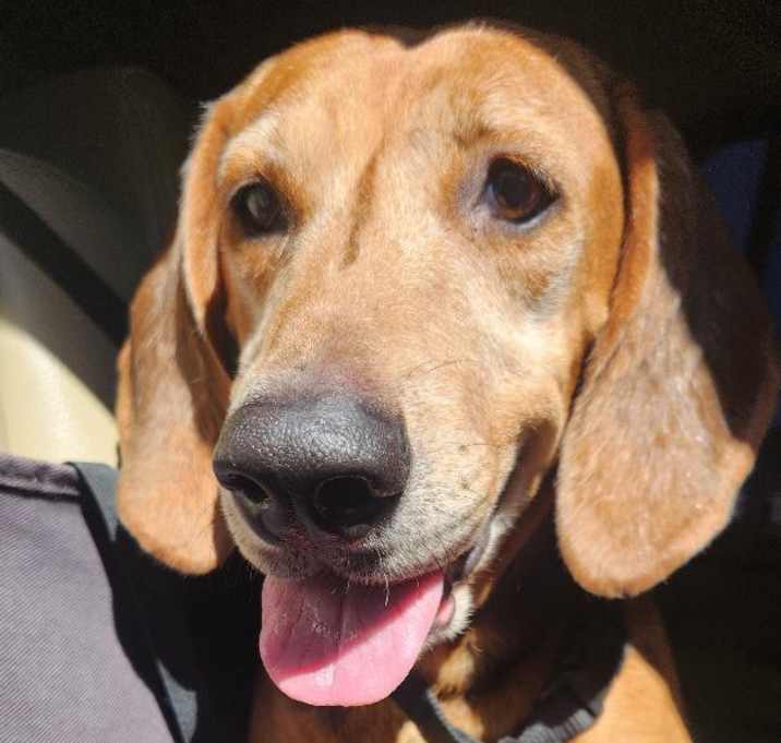 Photo of Matilda