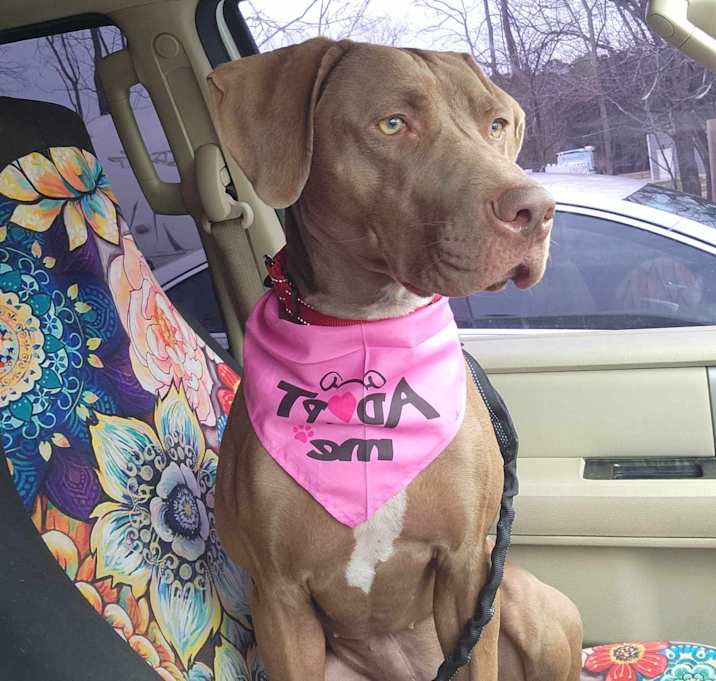 Photo of Jolene