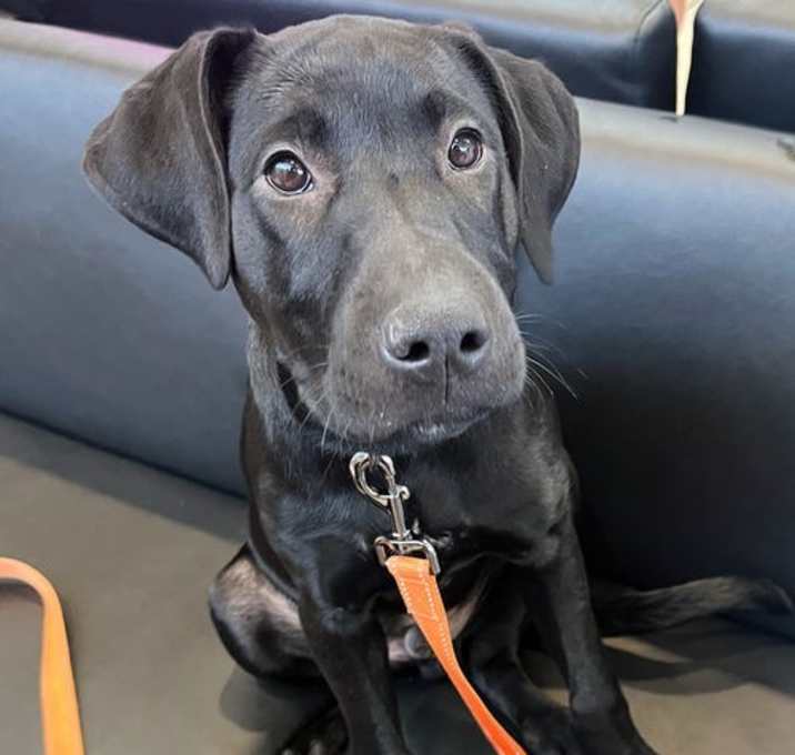 Photo of Walter