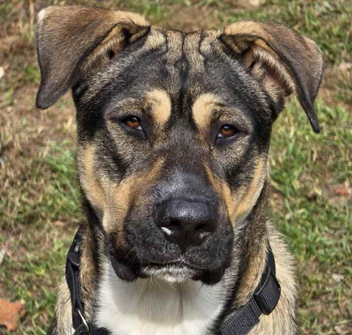 Photo of Tuck