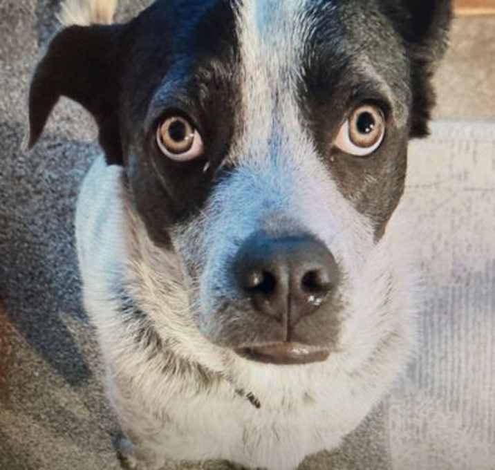Photo of Maggie