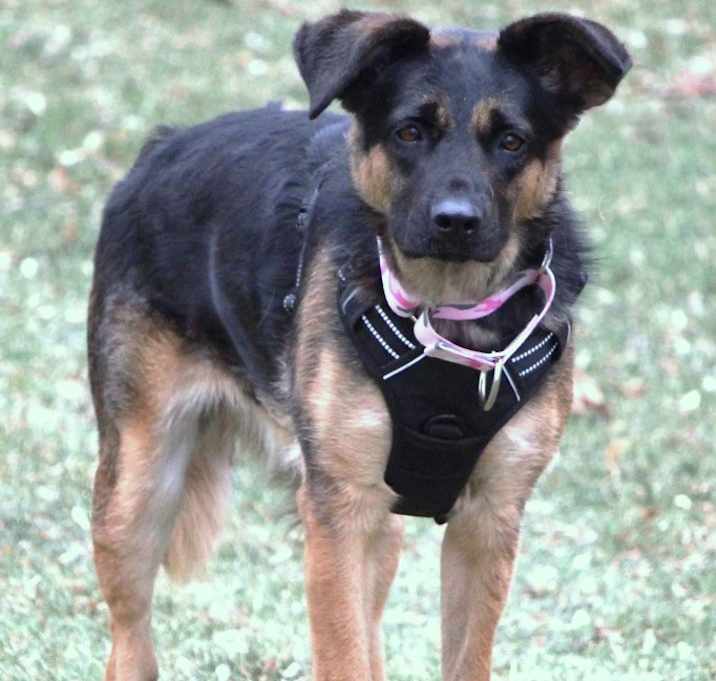 Photo of Stella Jane