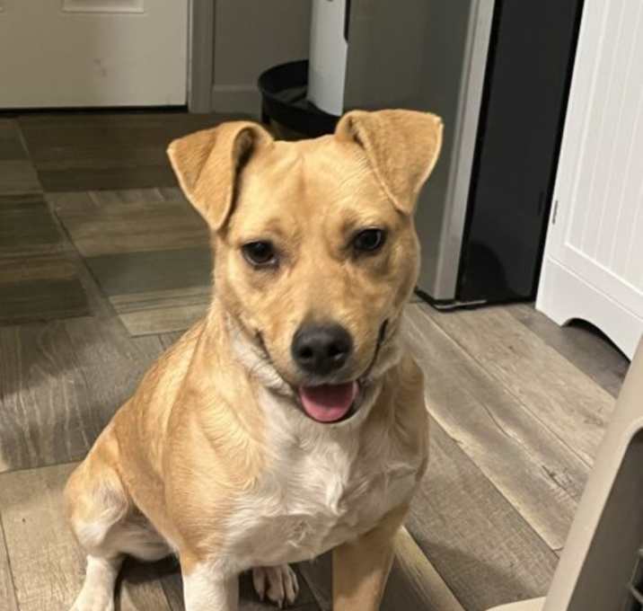 Photo of Rayne