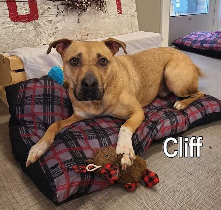 Photo of Cliff Yrly 360