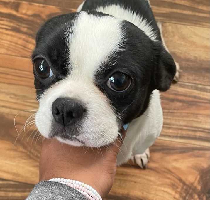 Photo of Zoe