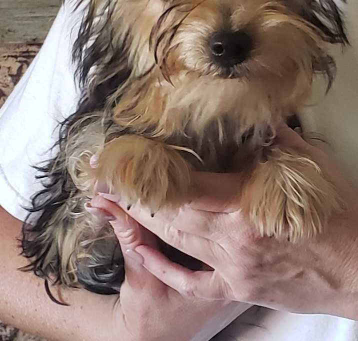 Photo of Athea