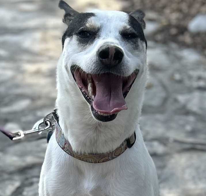 Photo of Mocha