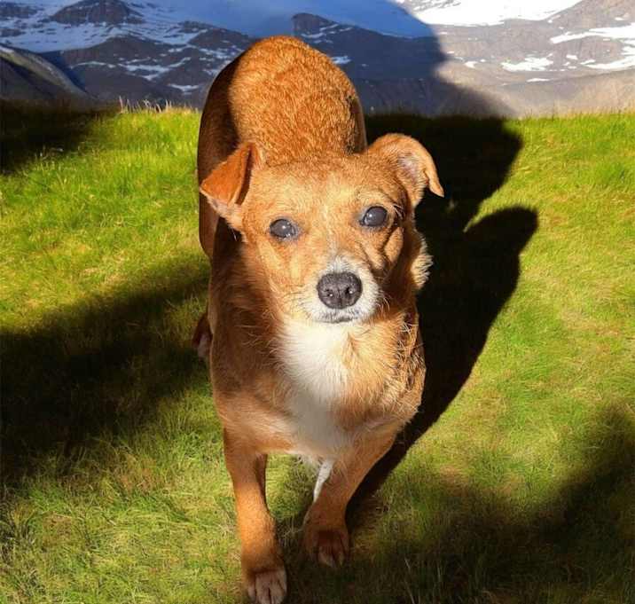 Photo of Hilda