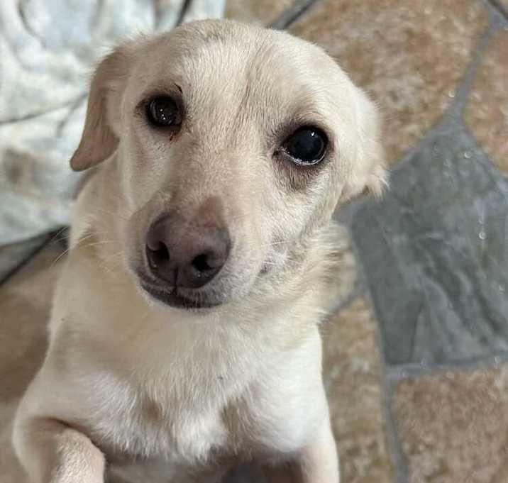 Photo of Tina