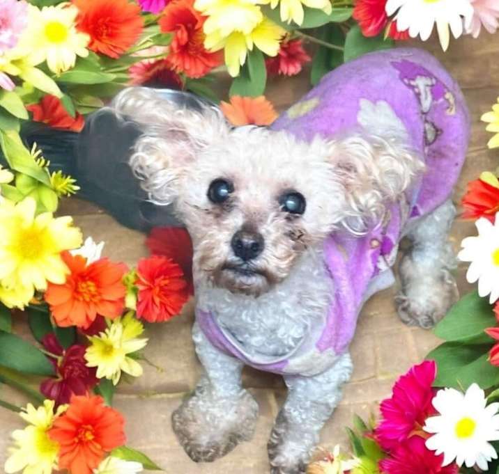 Photo of Olivia