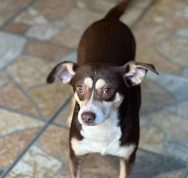 Photo of Bella