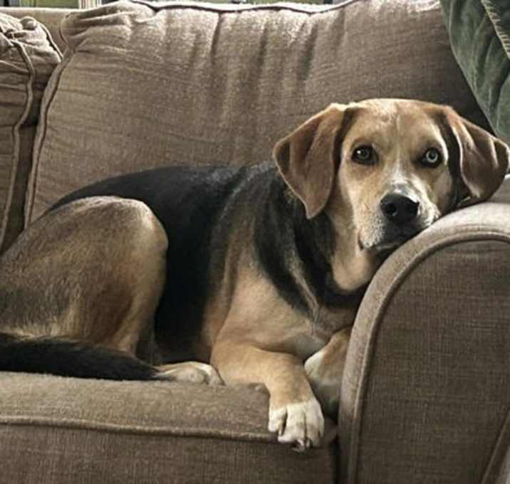 Photo of Moseley