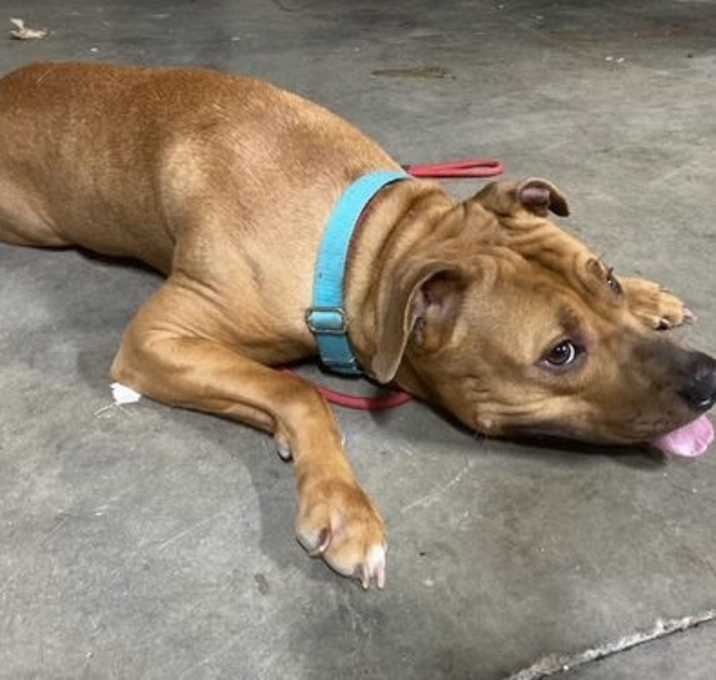 Photo of Duchess