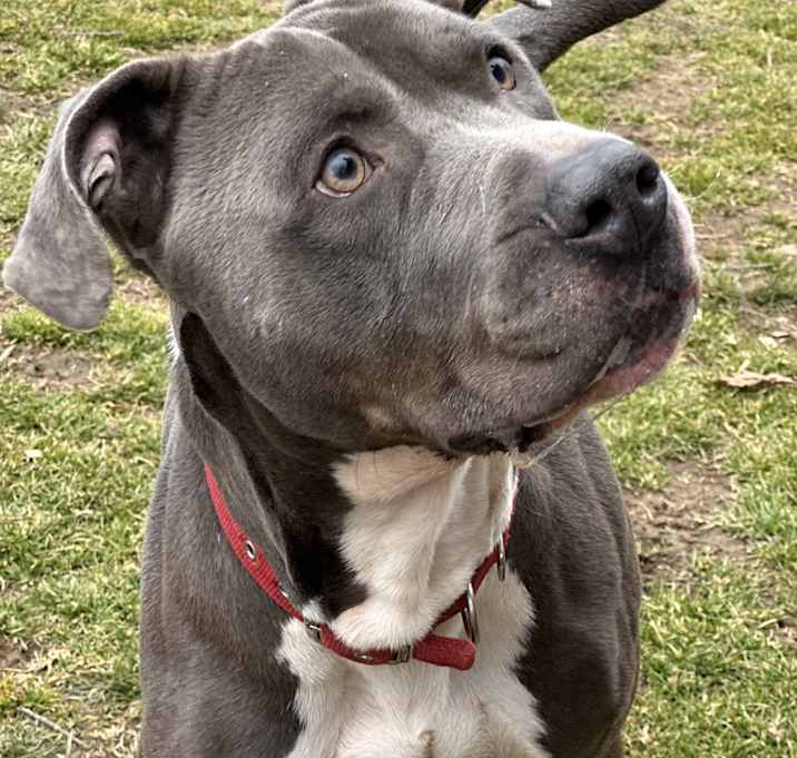 Photo of Arthur
