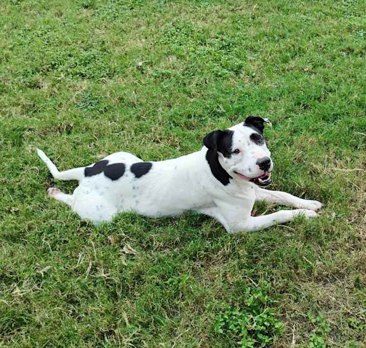 Photo of Houdini