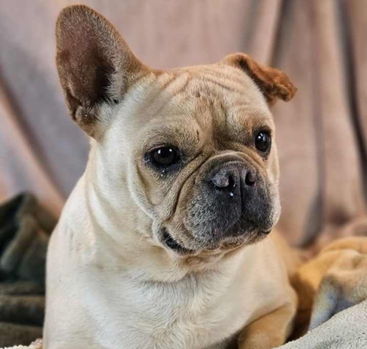 Photo of Marnie