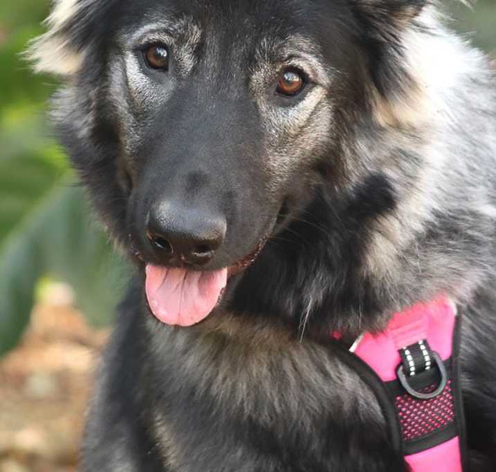 Photo of Sinai von Selig