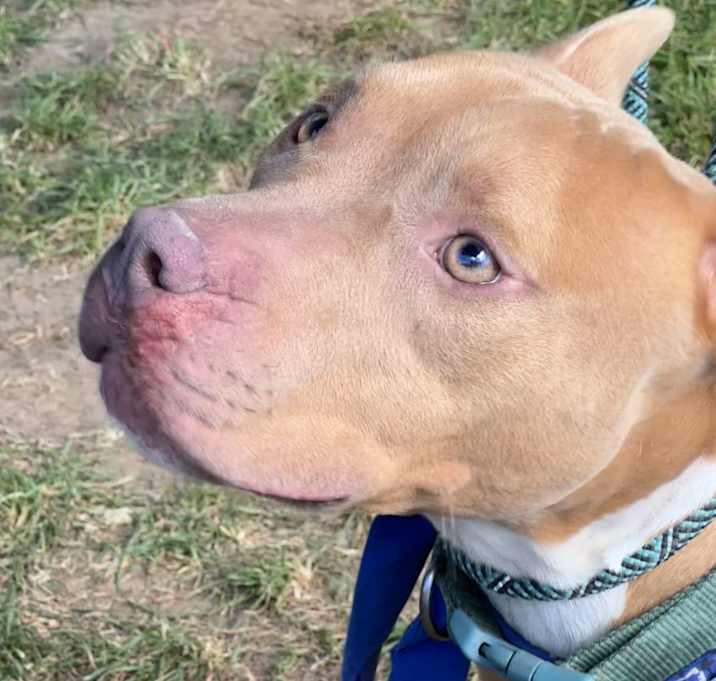 Photo of Penny