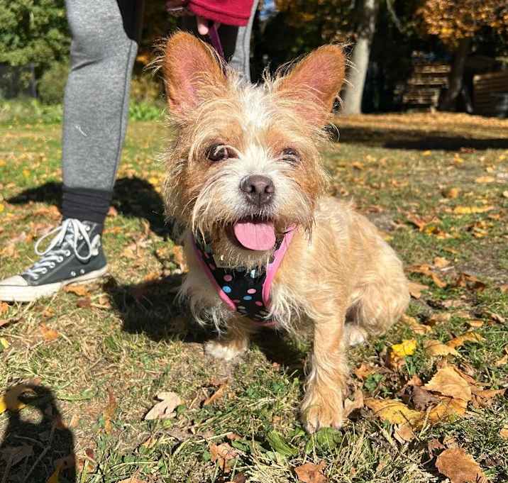Photo of Buffy