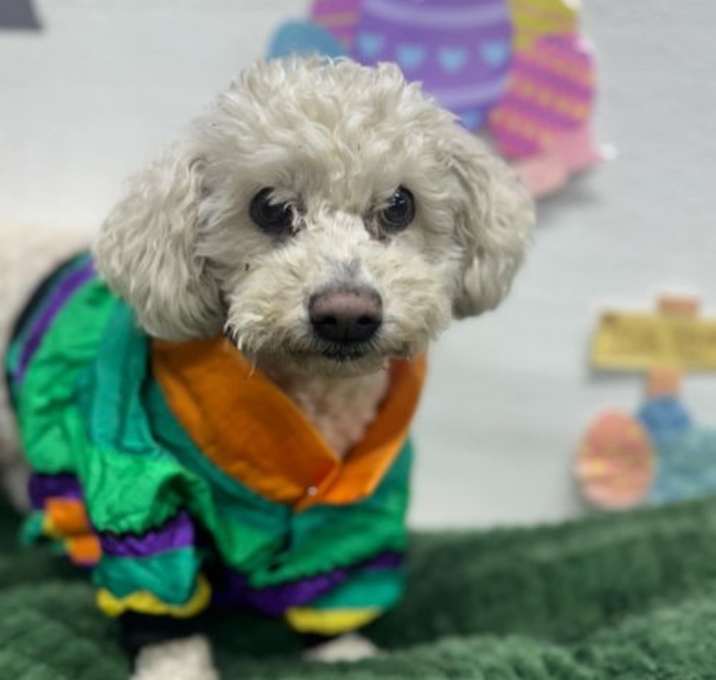 Photo of Yvette