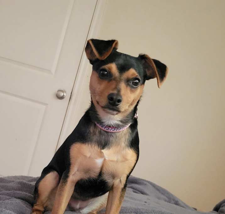 Photo of Deli