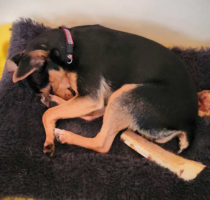 Photo of Deli