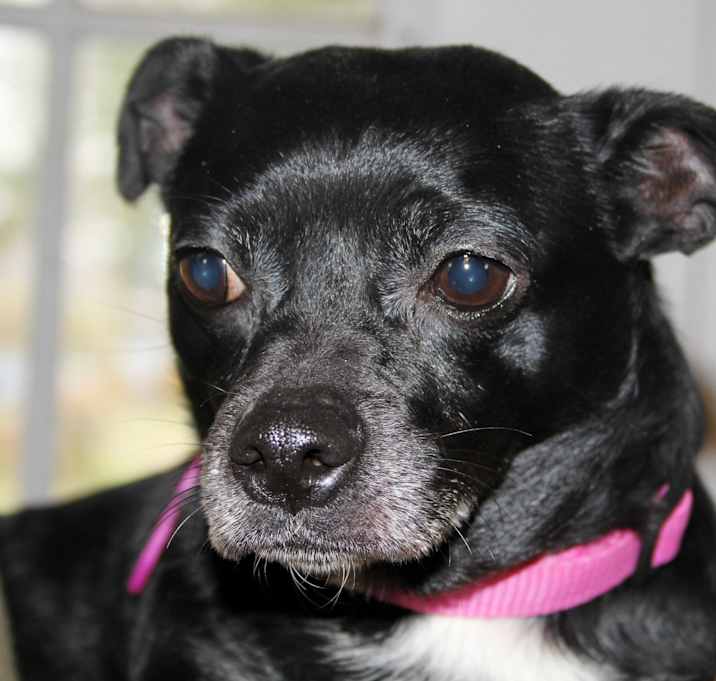 Photo of Barbie