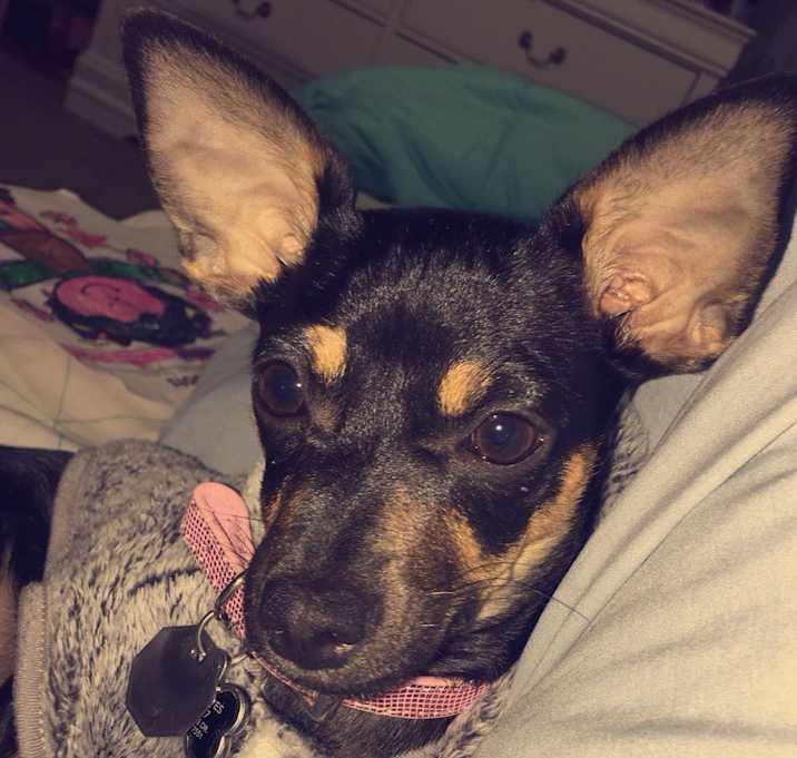 Photo of Mabel