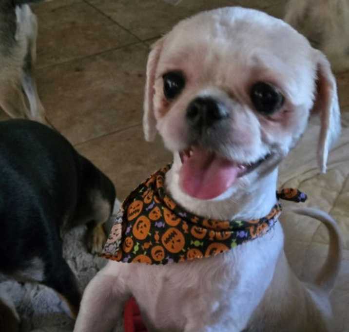 Photo of Hazel