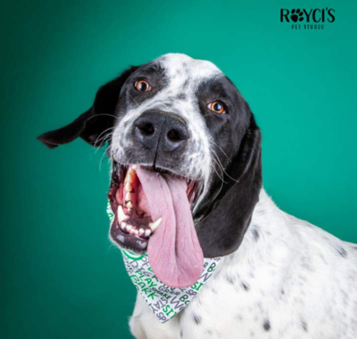 Photo of 86360 Amos