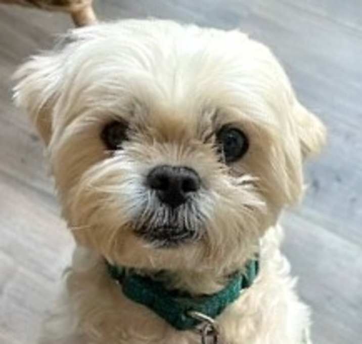 Photo of Lenny