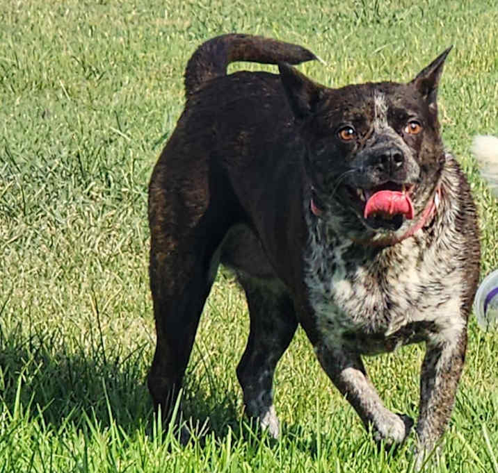 Photo of Olivia
