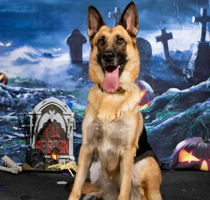 Photo of Hera