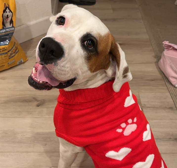 Photo of Jessie
