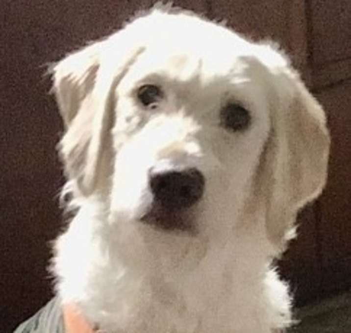 Photo of Sophie