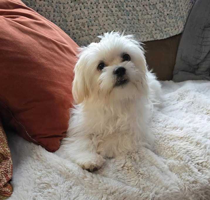 Photo of Lee