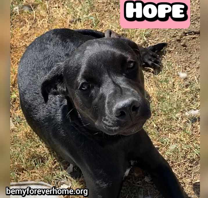 Photo of Hope