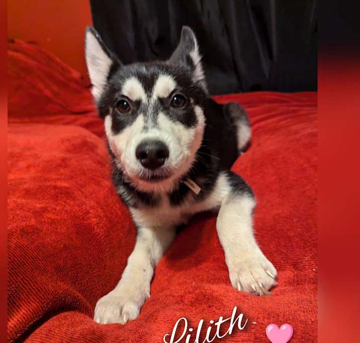 Photo of Lilith