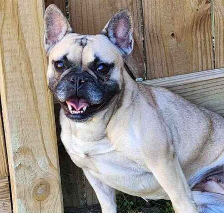 Photo of Gertie
