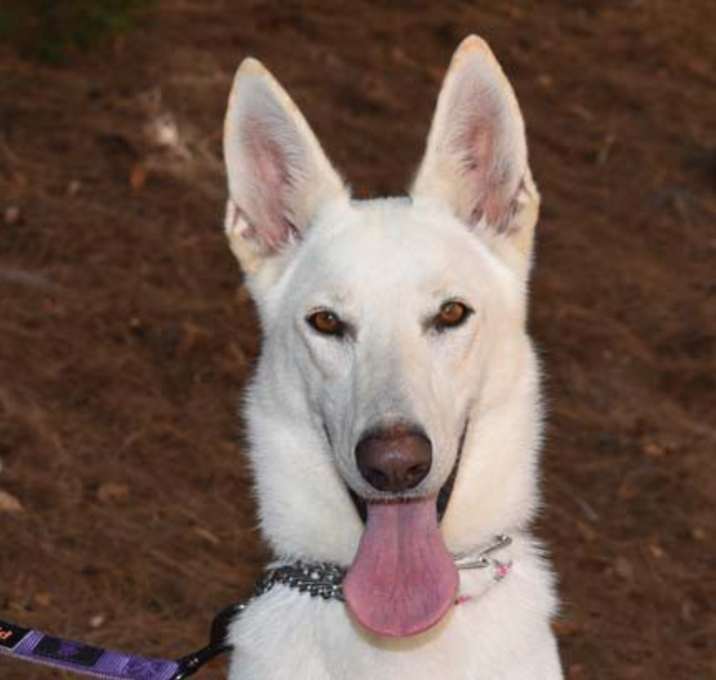 Photo of Nikki