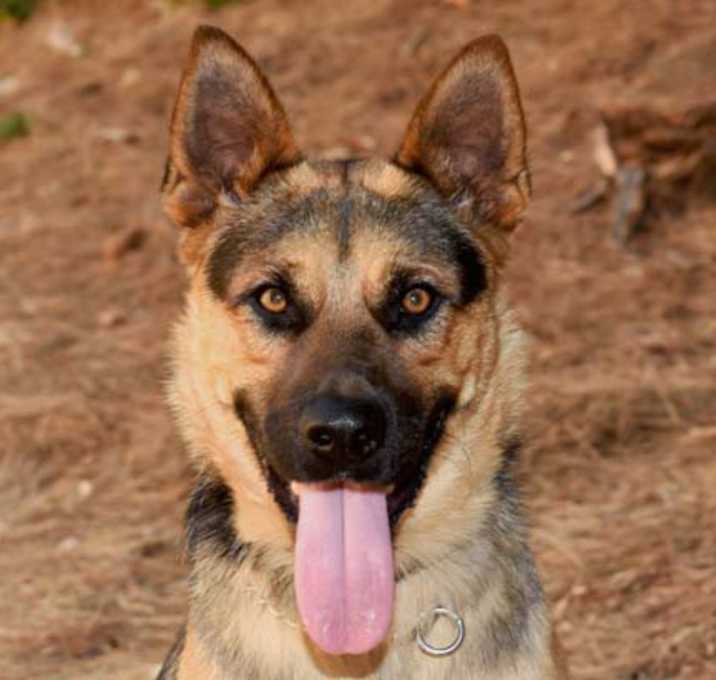Photo of Brody