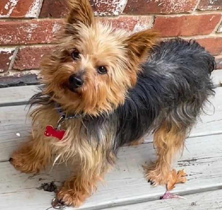 Photo of Murphy Joe
