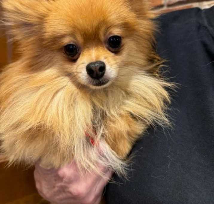Photo of Oakley