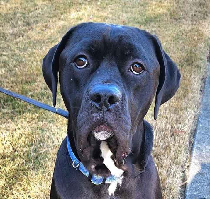 Photo of Barklee