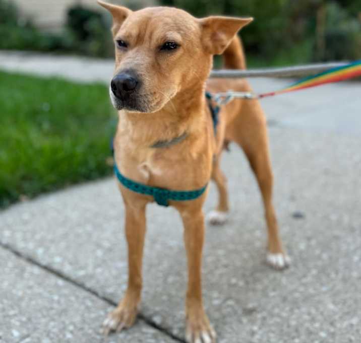 Photo of Star