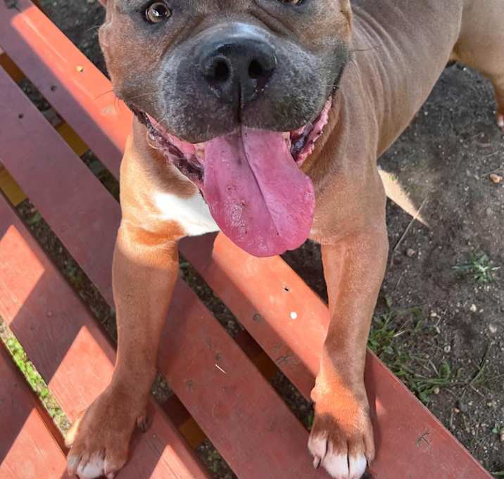 Photo of Nikko