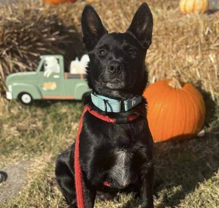 Photo of Donnie