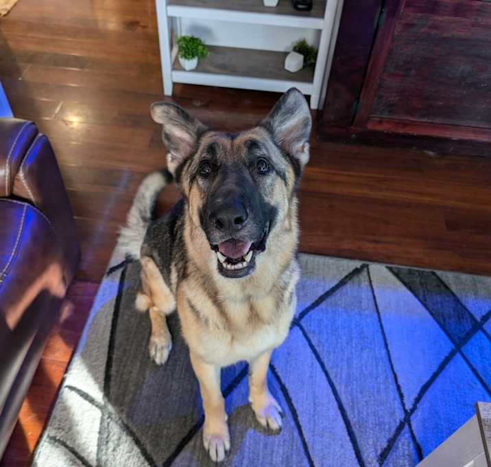 Photo of Thor