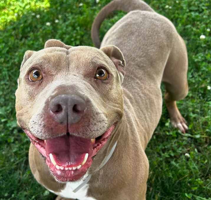 Photo of Lucy