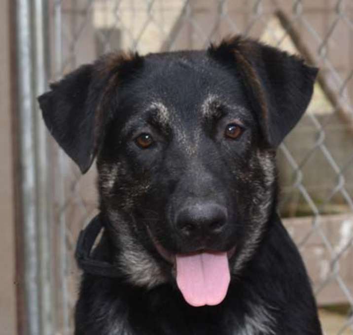 Photo of Cheyenne